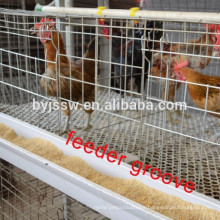 Jaulas de polluelo de capa para Nepal, jaula de pollo de Nepal